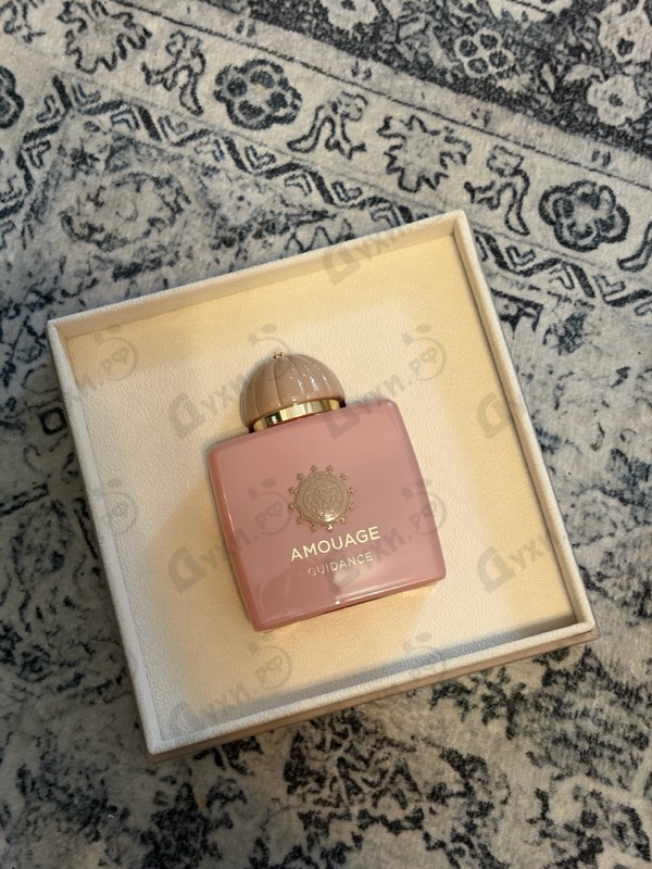 Купить Guidance от Amouage