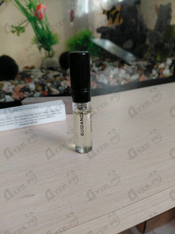 Купить Guidance от Amouage