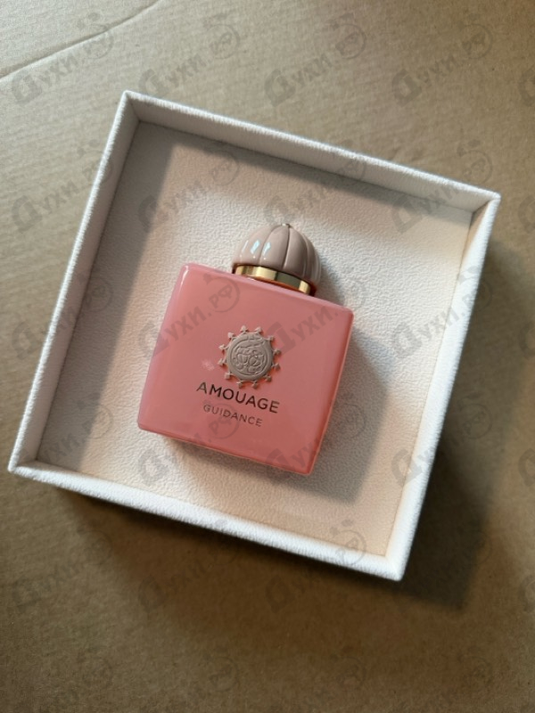 Купить Amouage Guidance
