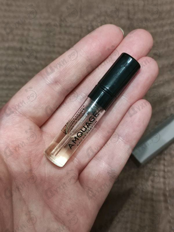 Купить Guidance от Amouage