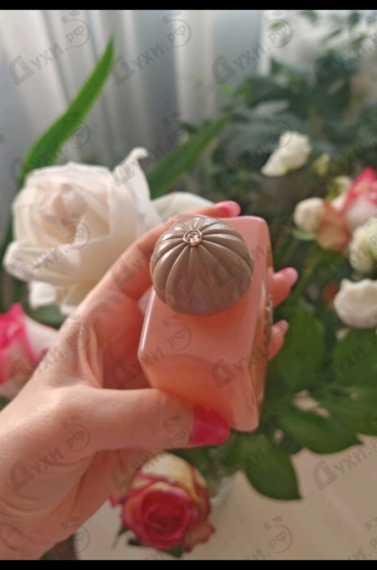 Купить Guidance от Amouage