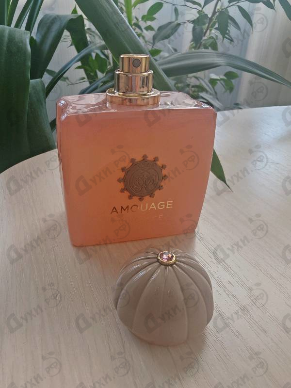 Парфюмерия Guidance от Amouage