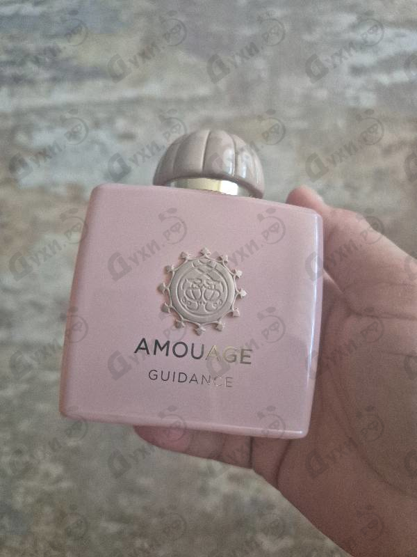 Купить Amouage Guidance