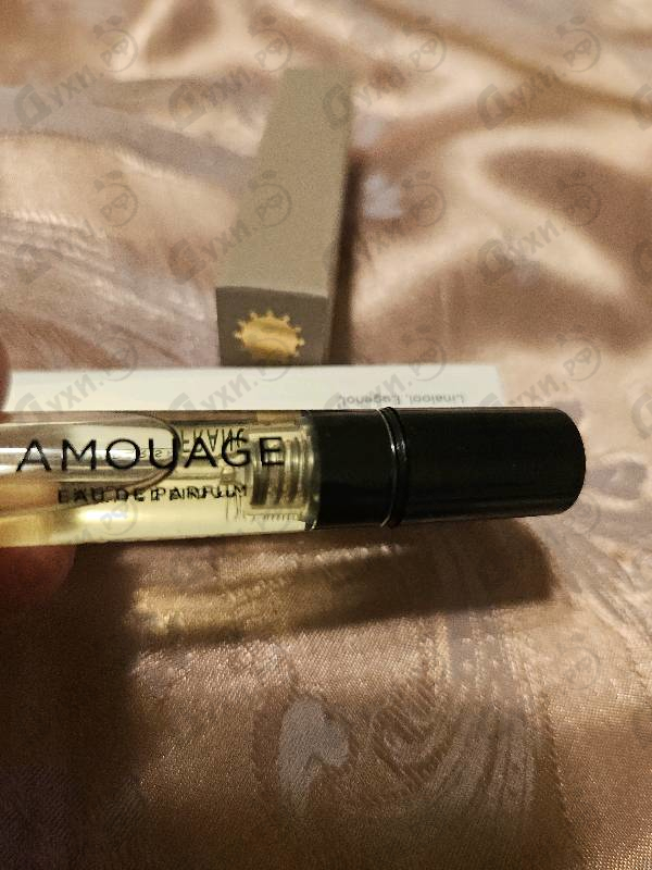 Купить Search от Amouage