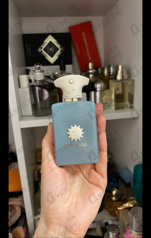 Отзывы Amouage Search