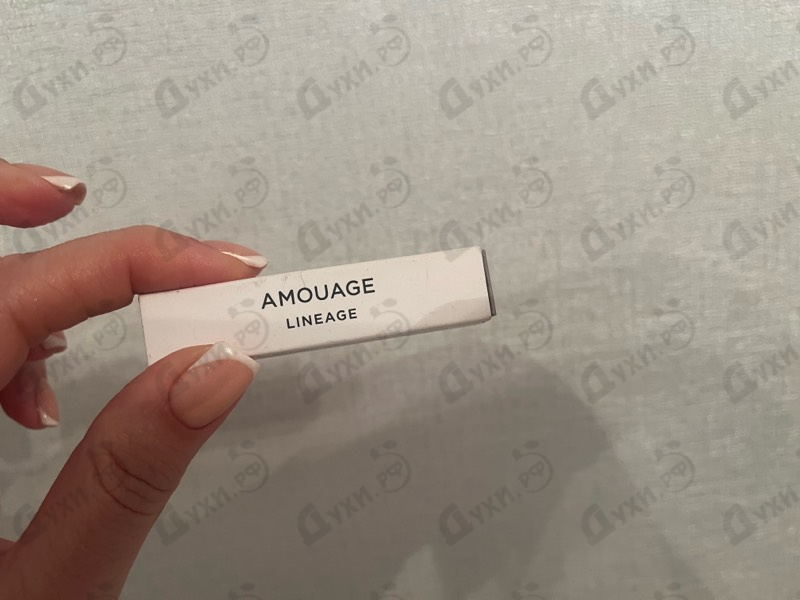 Парфюмерия Lineage от Amouage