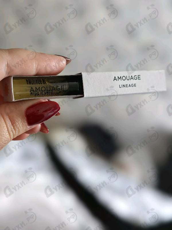 Парфюмерия Lineage от Amouage