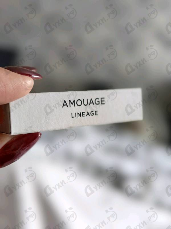 Купить Lineage от Amouage