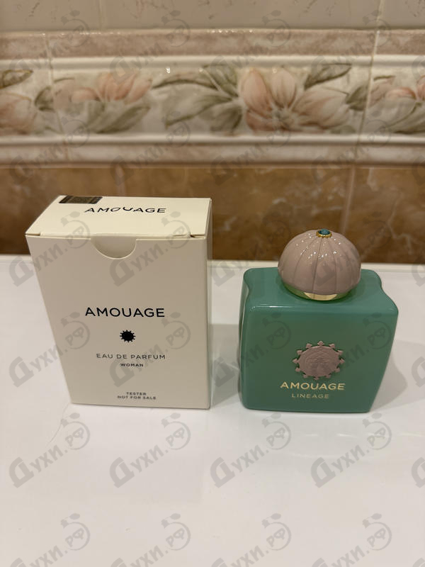 Купить Lineage от Amouage