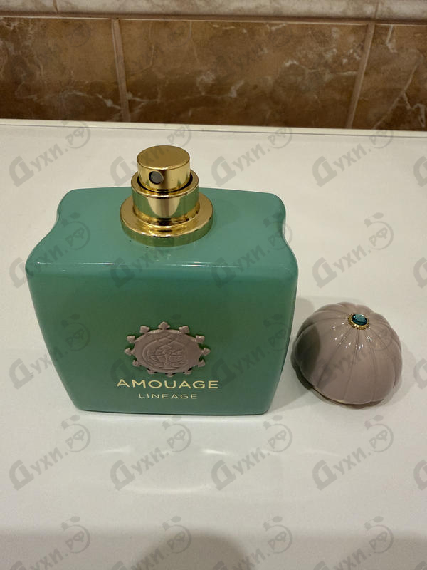 Отзыв Amouage Lineage