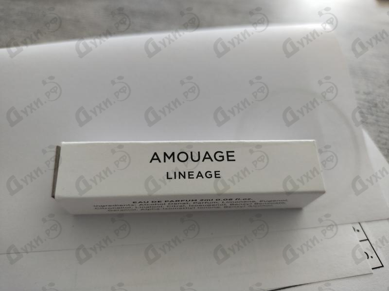 Купить Lineage от Amouage