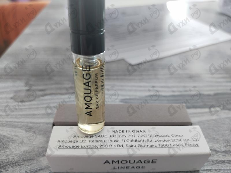 Духи Lineage от Amouage