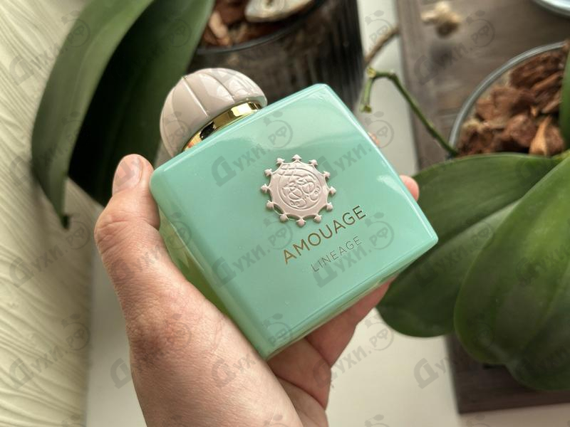 Парфюмерия Lineage от Amouage