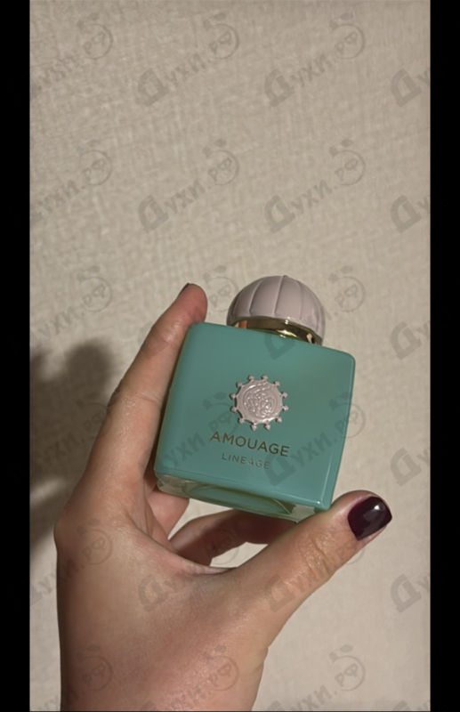 Отзывы Amouage Lineage