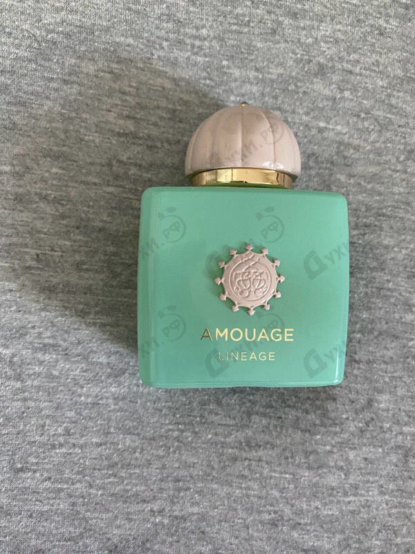 Купить Lineage от Amouage