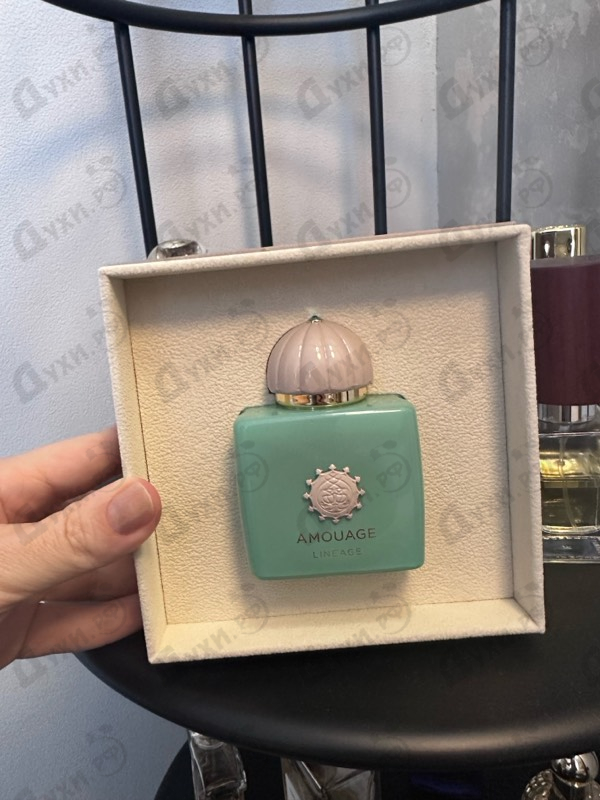 Отзыв Amouage Lineage