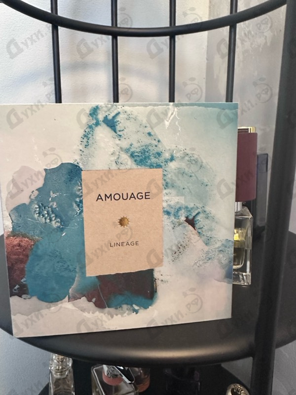 Духи Lineage от Amouage