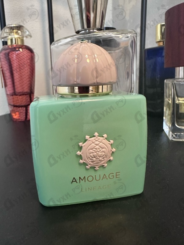 Парфюмерия Lineage от Amouage