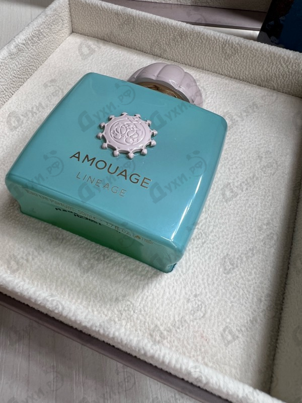 Купить Lineage от Amouage
