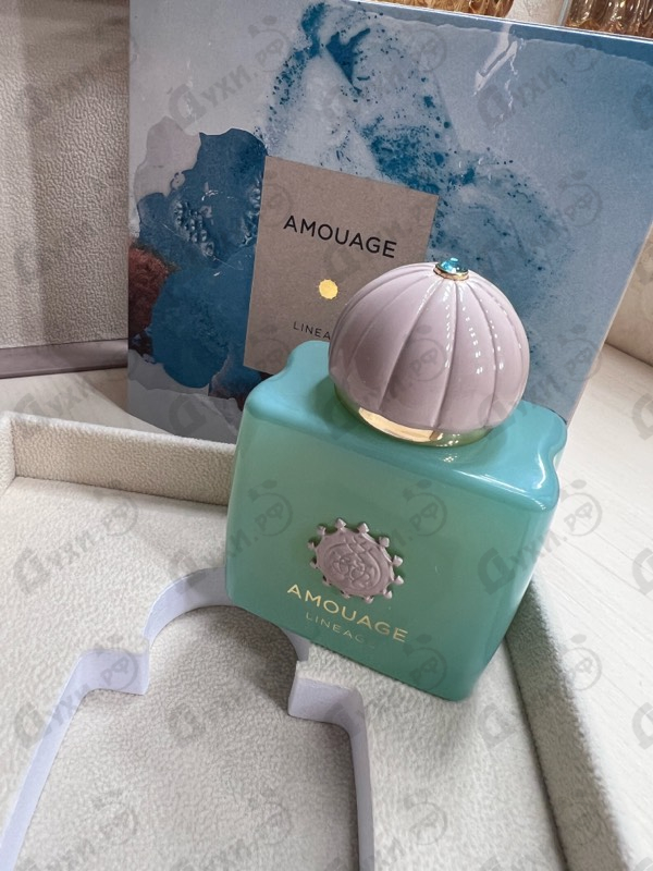 Парфюмерия Lineage от Amouage