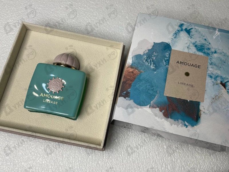 Купить Lineage от Amouage