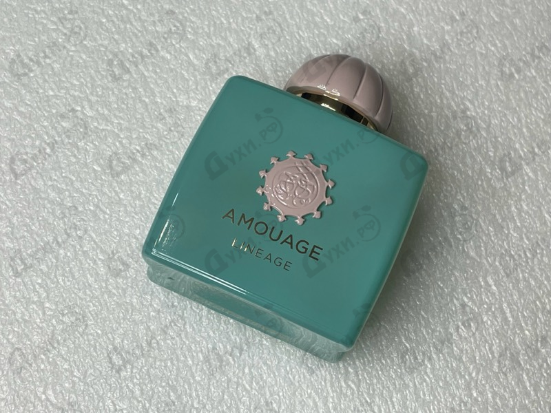 Парфюмерия Lineage от Amouage