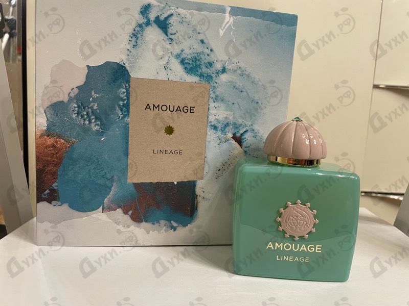 Духи Lineage от Amouage