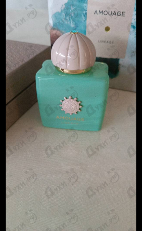 Духи Lineage от Amouage