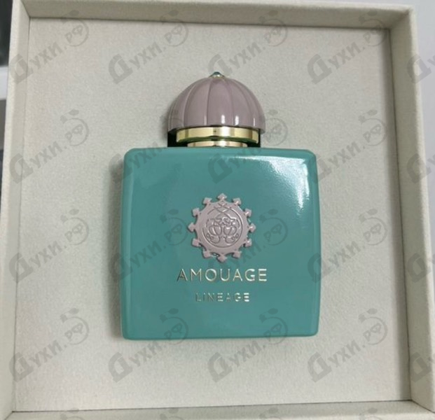 Духи Lineage от Amouage