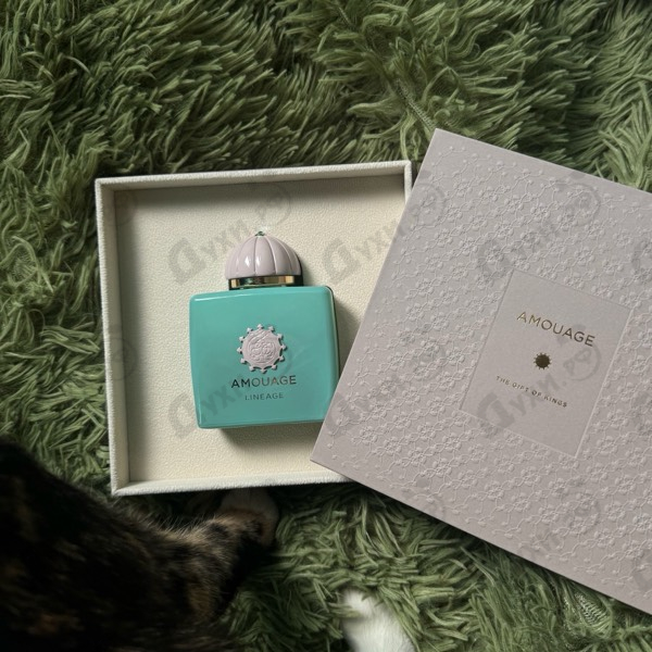 Купить Amouage Lineage