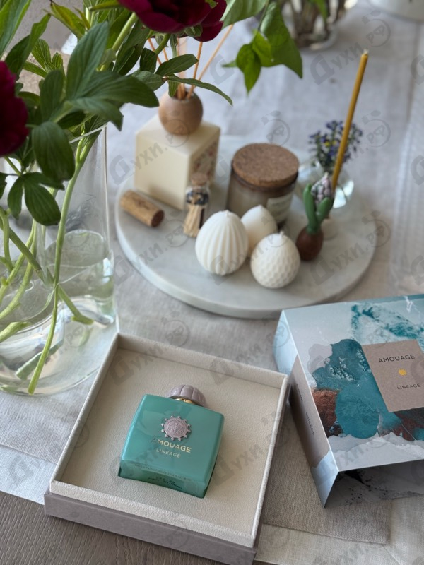 Духи Lineage от Amouage