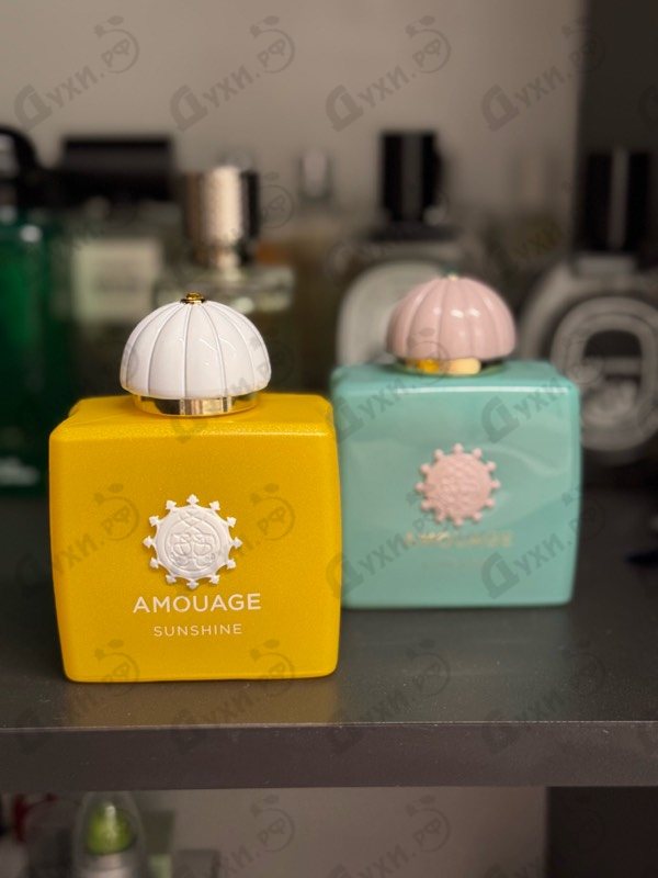 Духи Lineage от Amouage