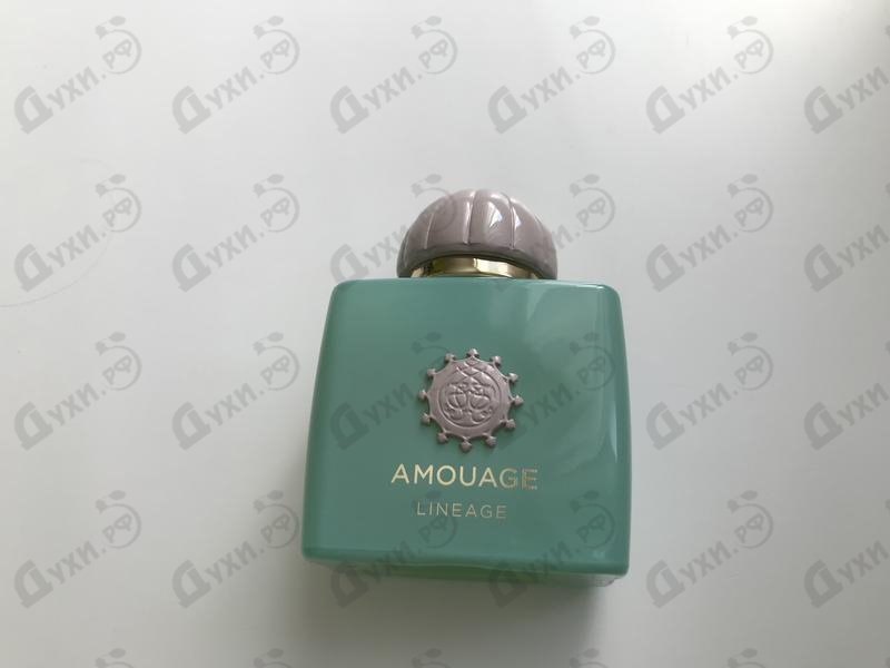 Отзывы Amouage Lineage