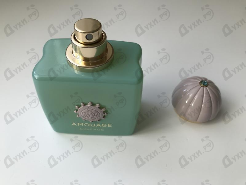 Парфюмерия Amouage Lineage