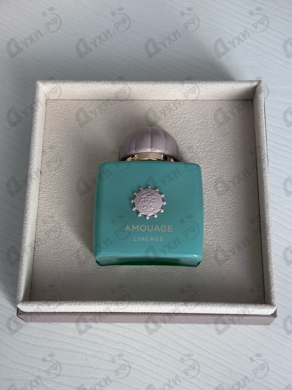 Купить Lineage от Amouage