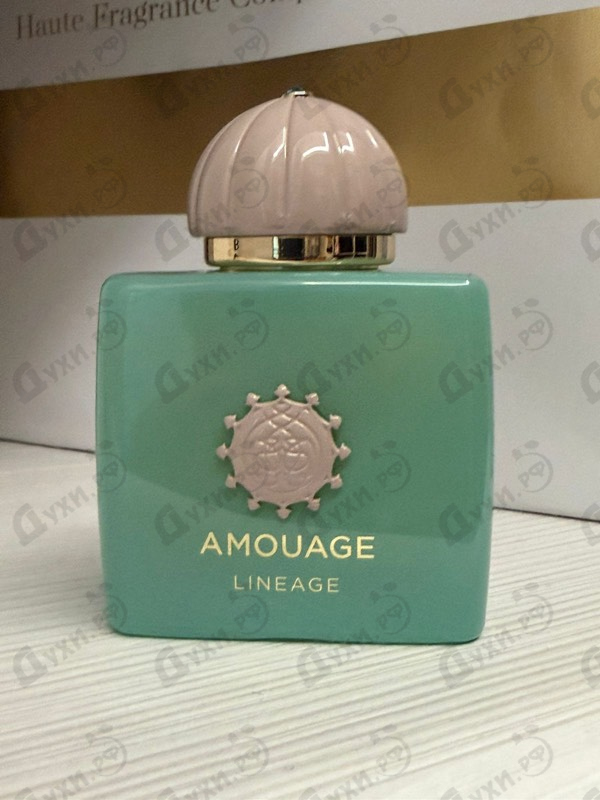 Парфюмерия Lineage от Amouage