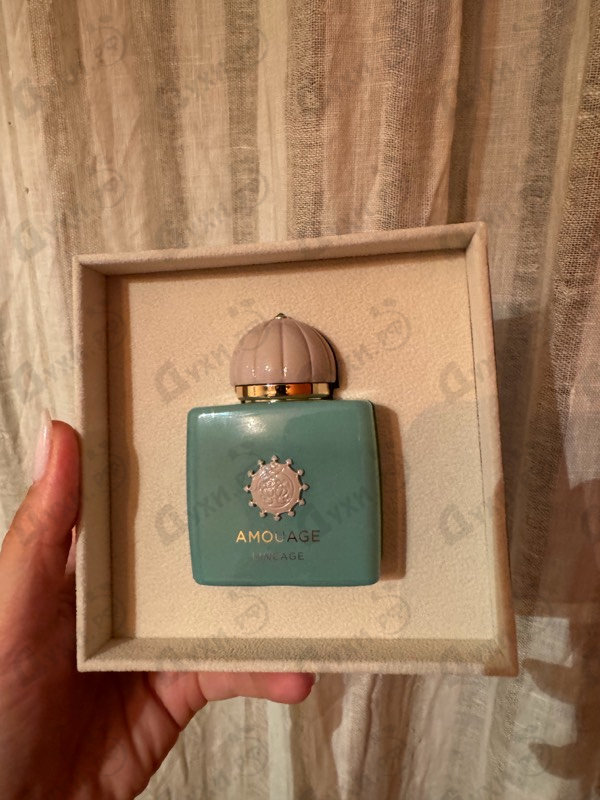 Купить Amouage Lineage
