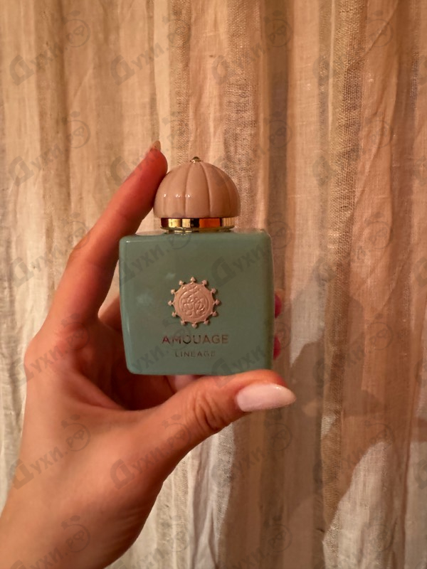 Парфюмерия Lineage от Amouage