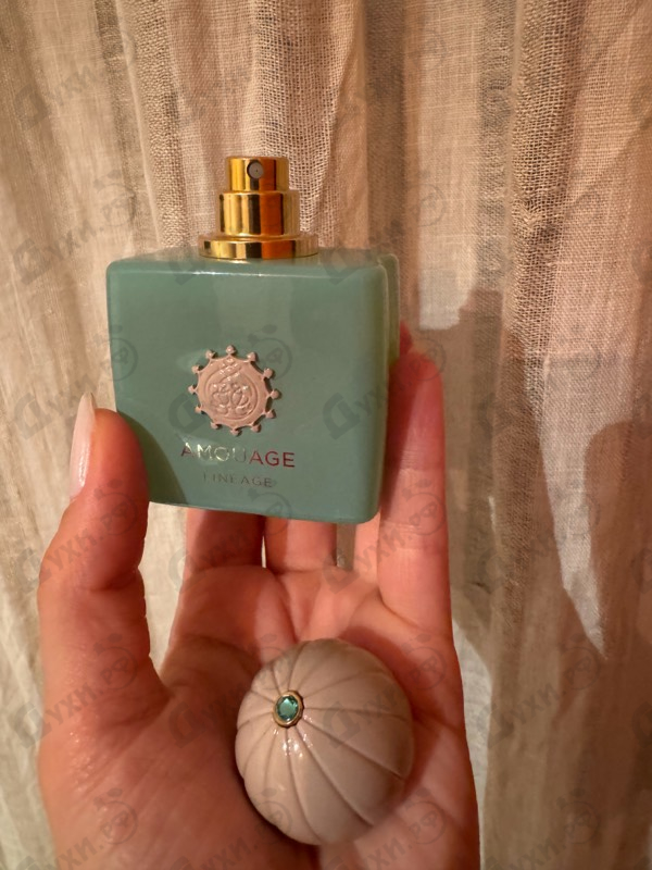 Духи Lineage от Amouage