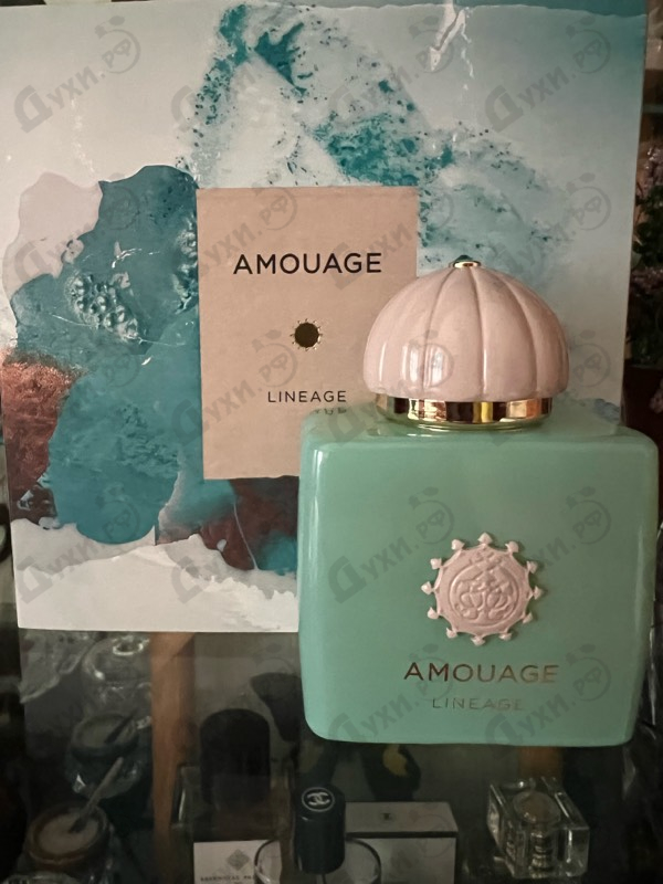 Отзывы Amouage Lineage