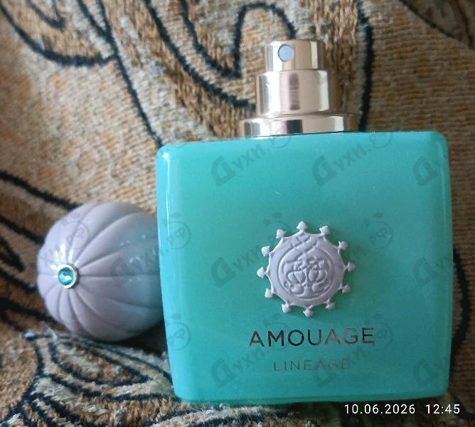 Духи Lineage от Amouage