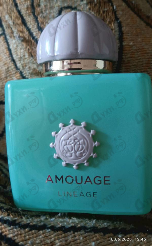 Купить Amouage Lineage