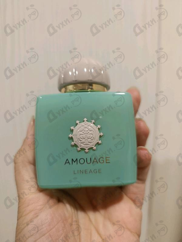 Купить Amouage Lineage