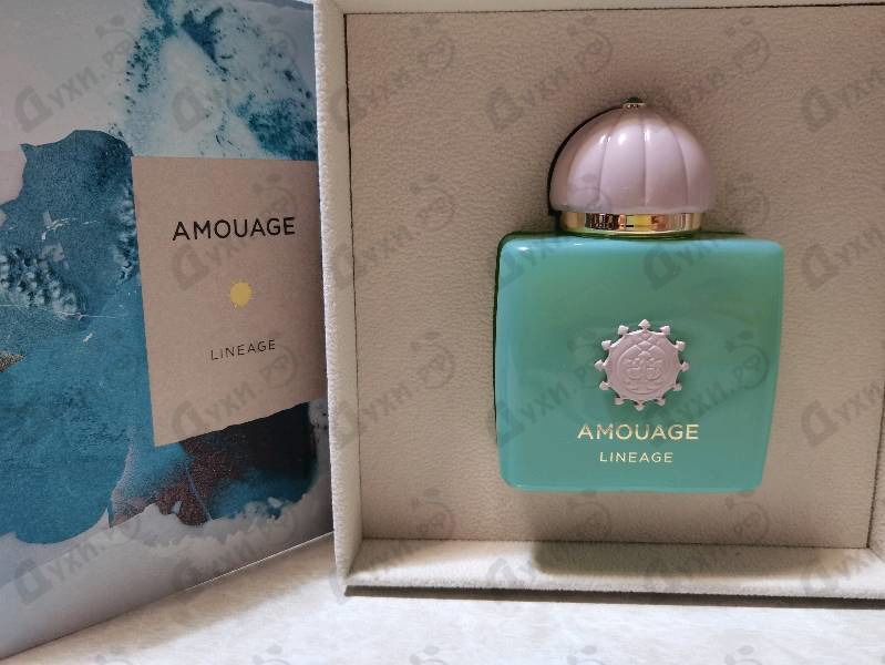 Купить Amouage Lineage
