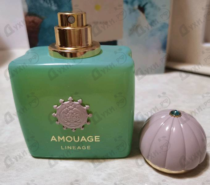 Парфюмерия Amouage Lineage