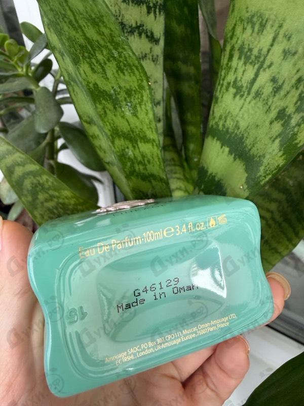 Парфюмерия Lineage от Amouage