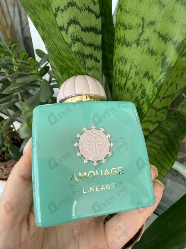 Парфюмерия Lineage от Amouage