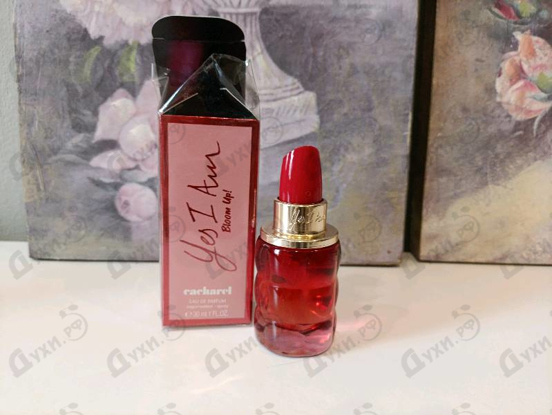 Парфюмерия Yes I Am Bloom Up! от Cacharel