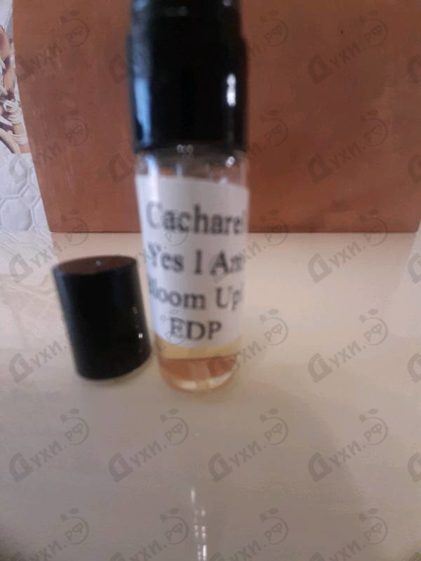 Духи Yes I Am Bloom Up! от Cacharel