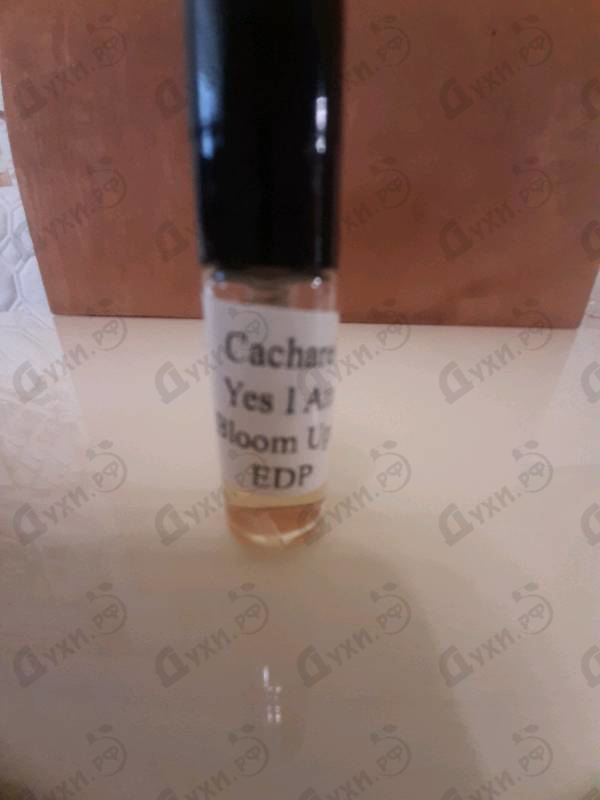 Отзывы Cacharel Yes I Am Bloom Up!